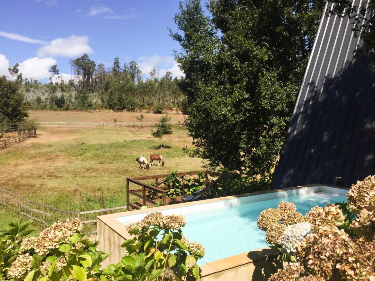 Vale Da Silva Villas - Quinta Albergaria-a-Velha Exteriör bild