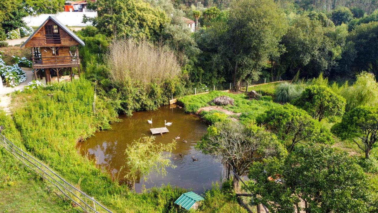 Vale Da Silva Villas - Quinta Albergaria-a-Velha Exteriör bild