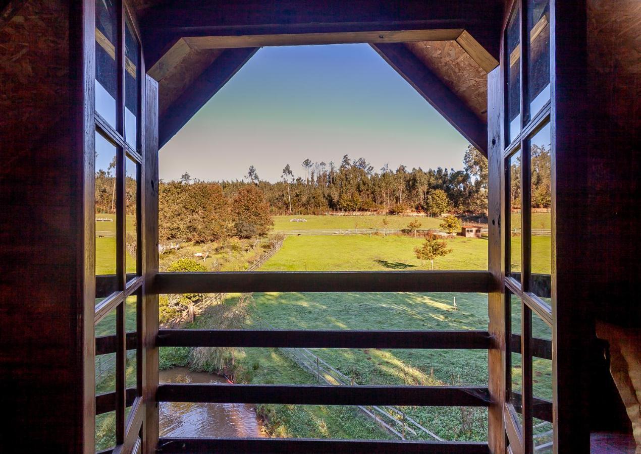 Vale Da Silva Villas - Quinta Albergaria-a-Velha Exteriör bild